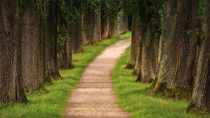 Uncharted Paths