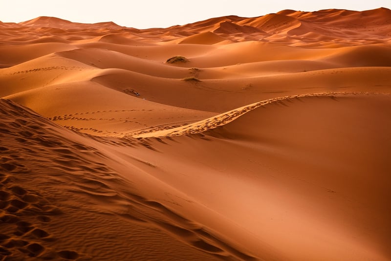 Desert Safari Adventure