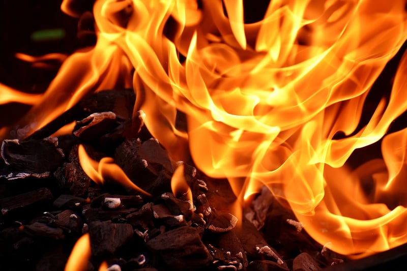 Campfire in the wilderness