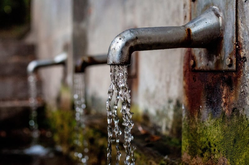 Water Filter